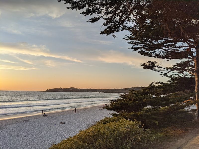 California Dog Beaches That Make Every Trip Better With Your Pup 6 Carmel Beach - Carmel-By-The-Sea, California