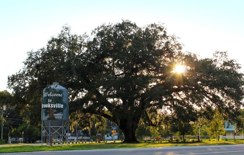 Brooksville, Florida