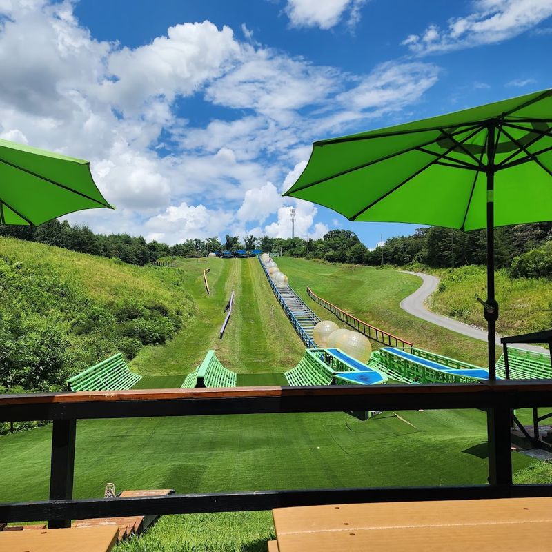 A Shuttle Ride to the Top of the Hill
