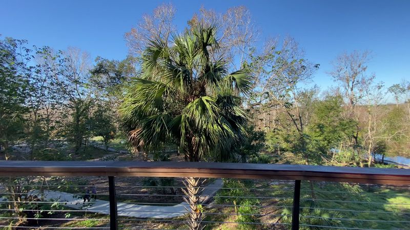 Dog-Friendly Trails for Four-Legged Explorers