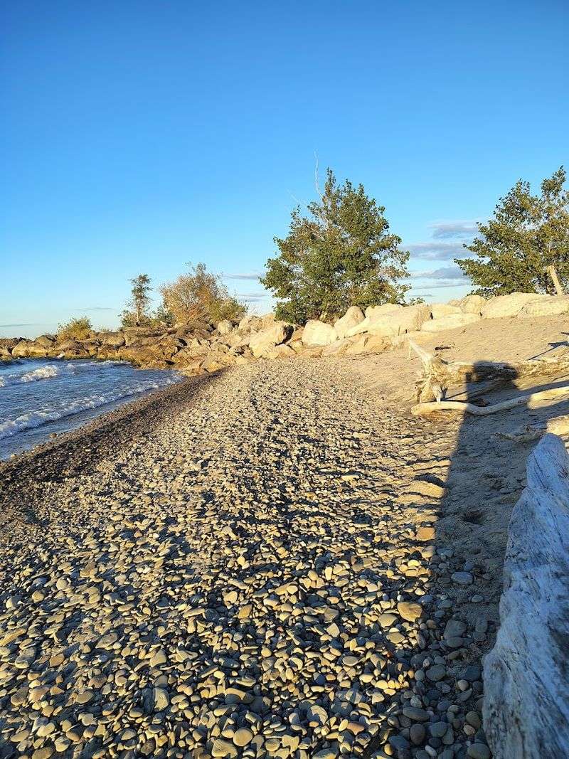 Rocky Shoreline Full of Hidden Treasure