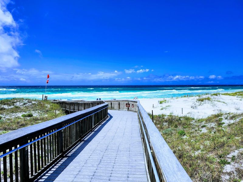 Free Tram Shuttle to the Beach