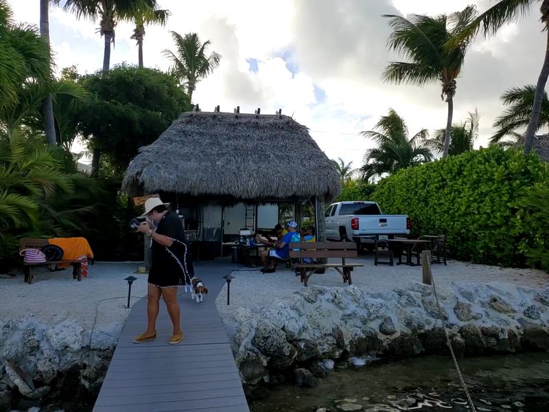 Dog-Friendly Atmosphere for Four-Legged Travelers