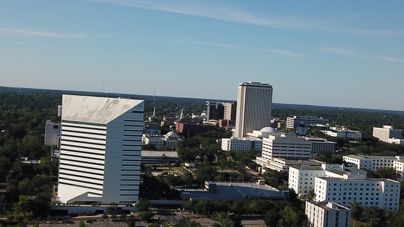 Phone Plans That Fit a Tight Budget