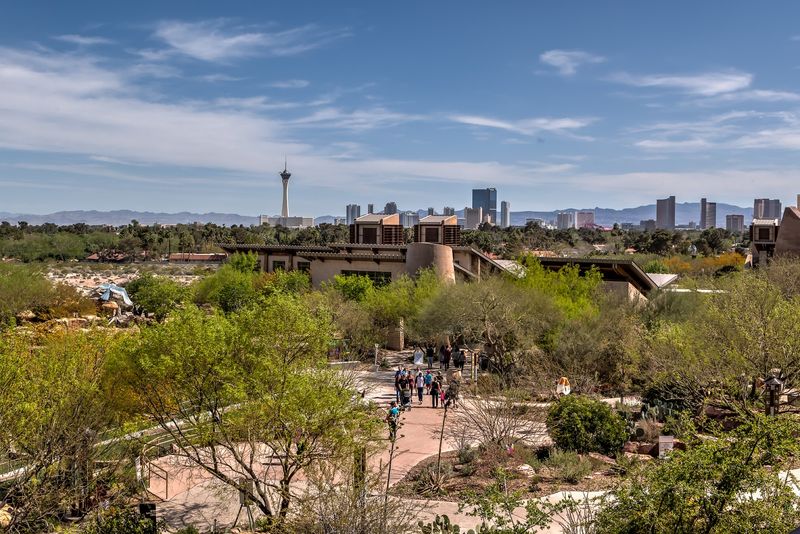 21 Nevada attractions that are actually worth leaving the Las Vegas Strip for 9 Springs Preserve - Las Vegas, Nevada