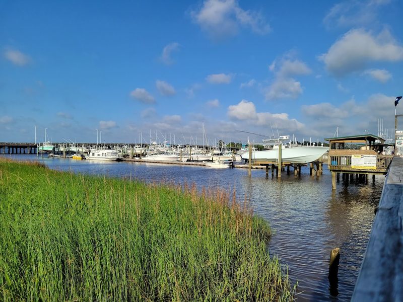 Winyah Bay and the Five Rivers
