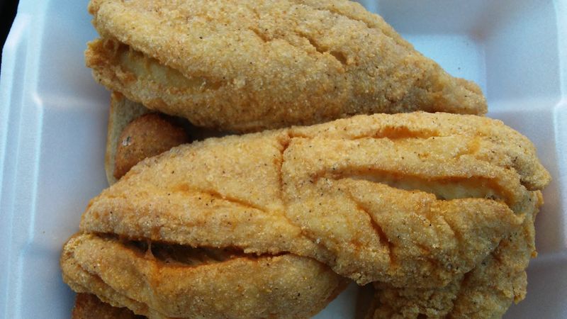 Variety of Fish You Won't Find Just Anywhere