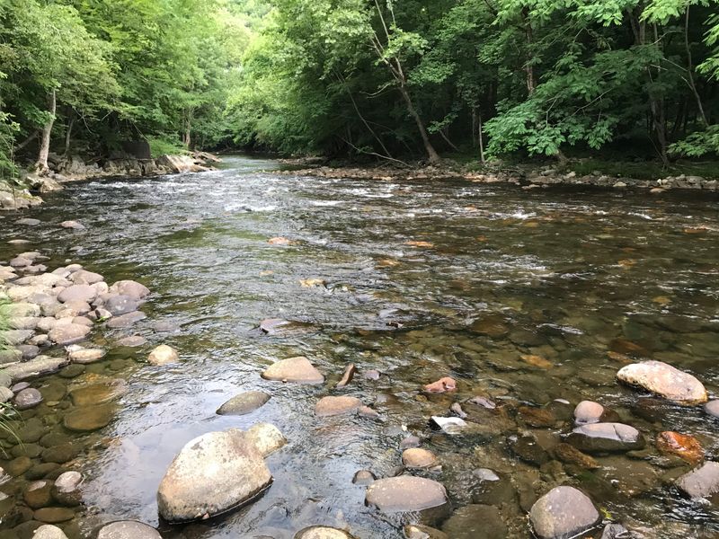 Little River Road and Its Stunning Scenery