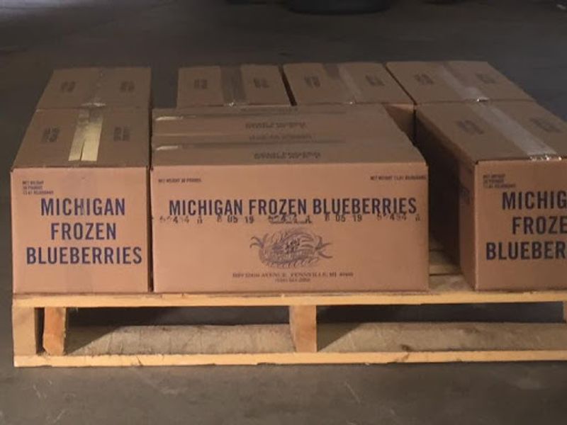 Fresh Organic Blueberries — The Farm's Other Star