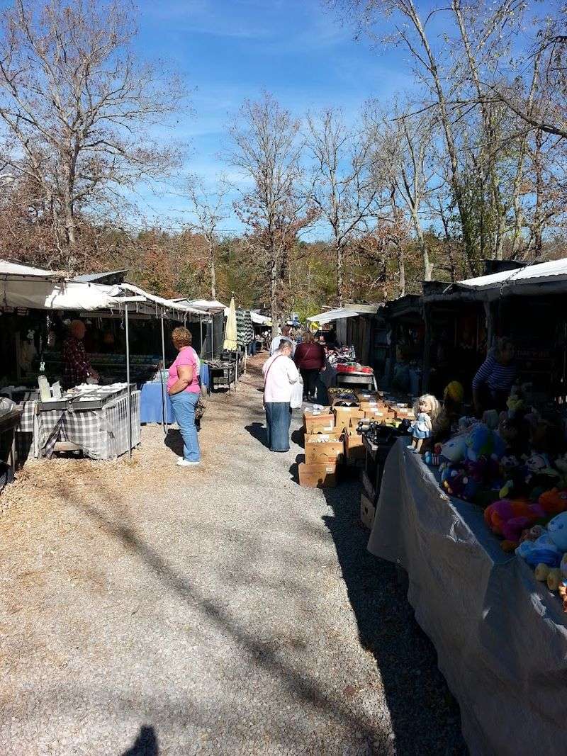 This Massive Flea Market In Tennessee Is Almost Too Good To Be True 7 Live Animals for Sale That Make Every Visit Unpredictable