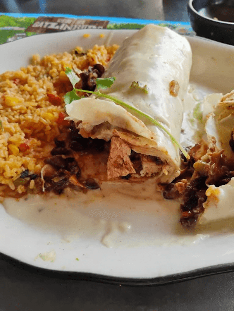Chicken Chimichanga Worth Celebrating