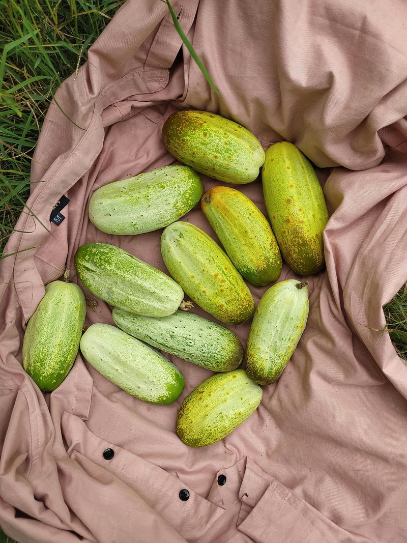 21 Foods That Can Help You Keep Things Simple in the Kitchen 13 Fresh cucumbers