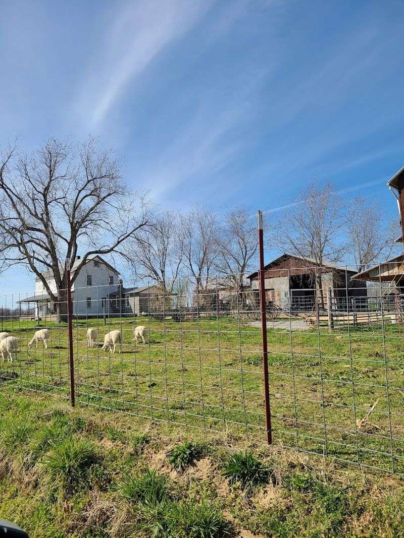 A small Amish town in Tennessee known for its delicious comfort food 11 Amish Quilts That Tell a Story