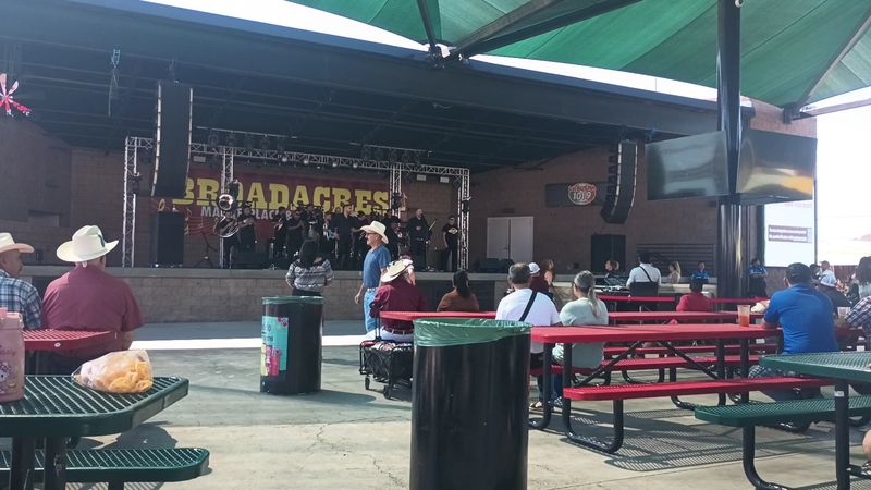 Live Music That Gets the Whole Crowd Moving