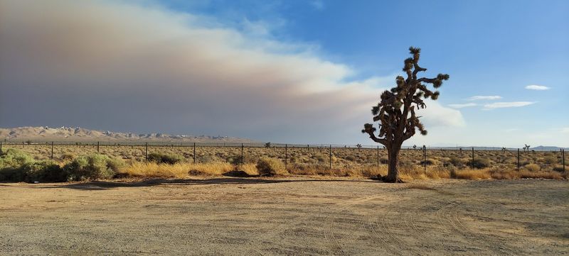 Desert Sunsets That Stop You in Your Tracks