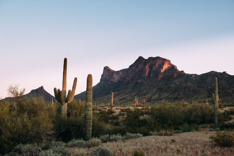 A Perfect Road Trip Stop Between Phoenix and Tucson