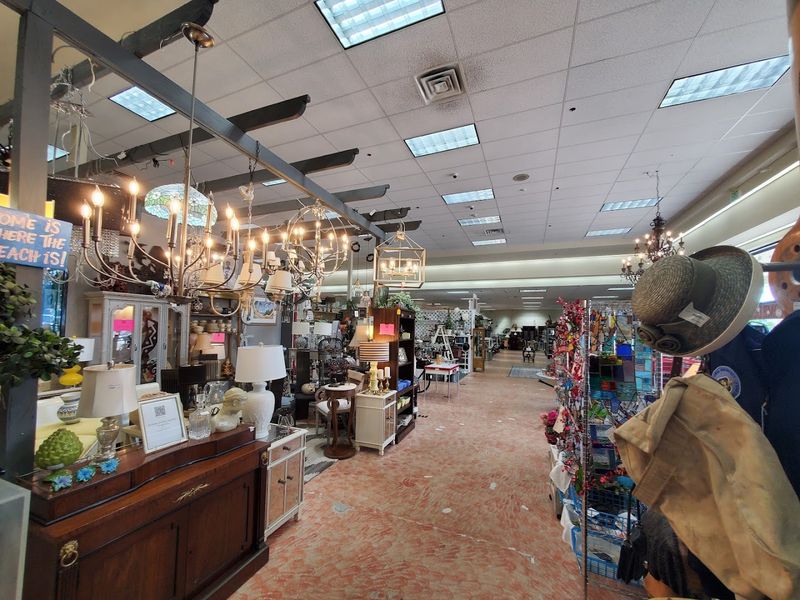 Furniture and Home Decor Perfect for Florida Living