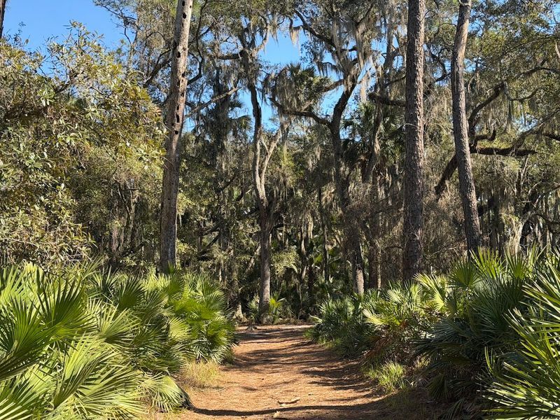 Hontoon Island State Park - DeLand, Florida
