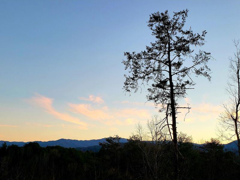 Cades Cove: History Meets Nature
