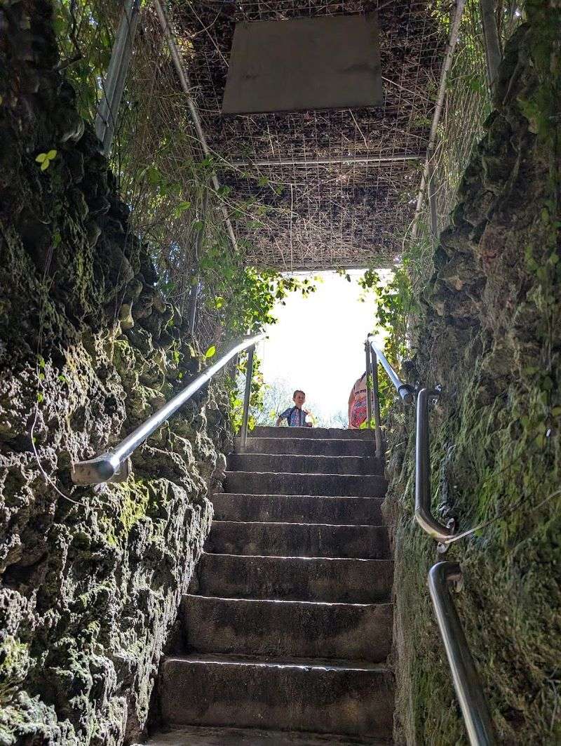 Tips for Booking the Perfect Time Slot