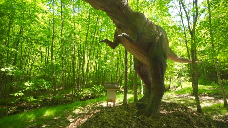Gem Mining and Fossil Digging for Little Explorers