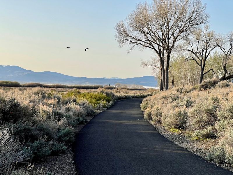 The Carson River Valley Setting