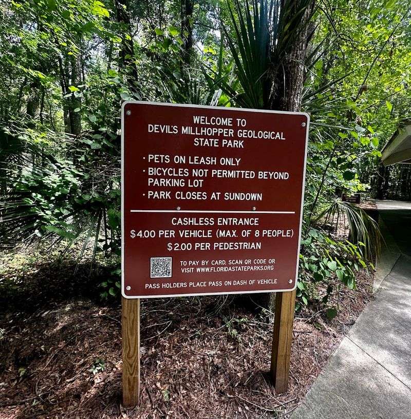 This hidden Florida sinkhole park feels so unexpected it almost passes for something out of another state 10 Affordable Entry at Just $4 Per Car