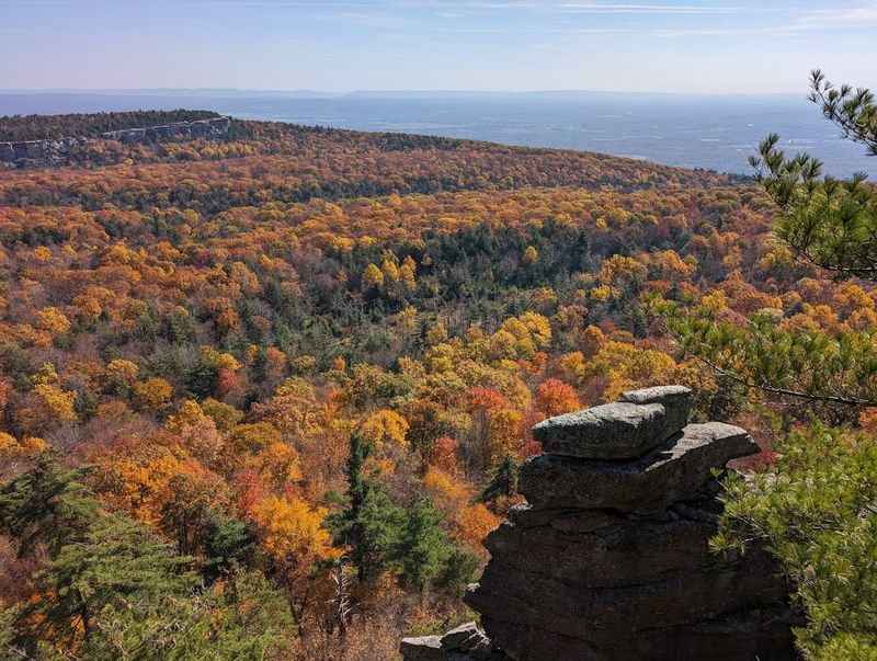Fall Foliage Season: When the Park Becomes Pure Magic