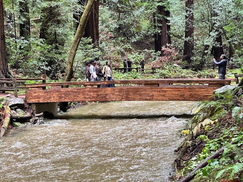 What to Bring for the Perfect Muir Woods Day
