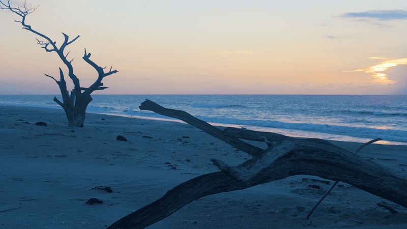 A Barrier Island Frozen in Time