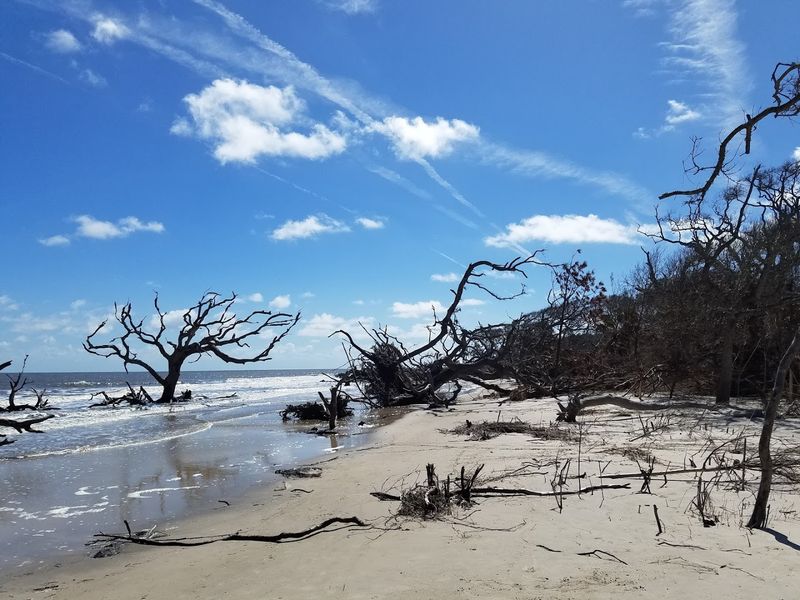 Best Time to Visit for the Ideal Experience