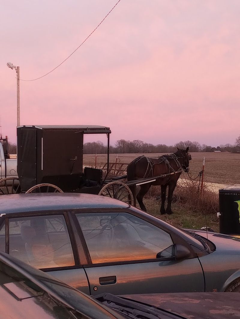 The Amish Community of Ethridge