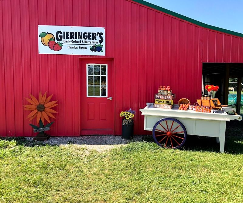 Gieringers Family Farm - Edgerton, Kansas