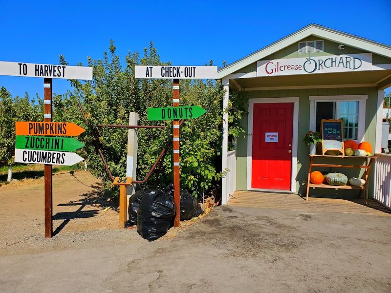 Gilcrease Orchard - Las Vegas, Nevada