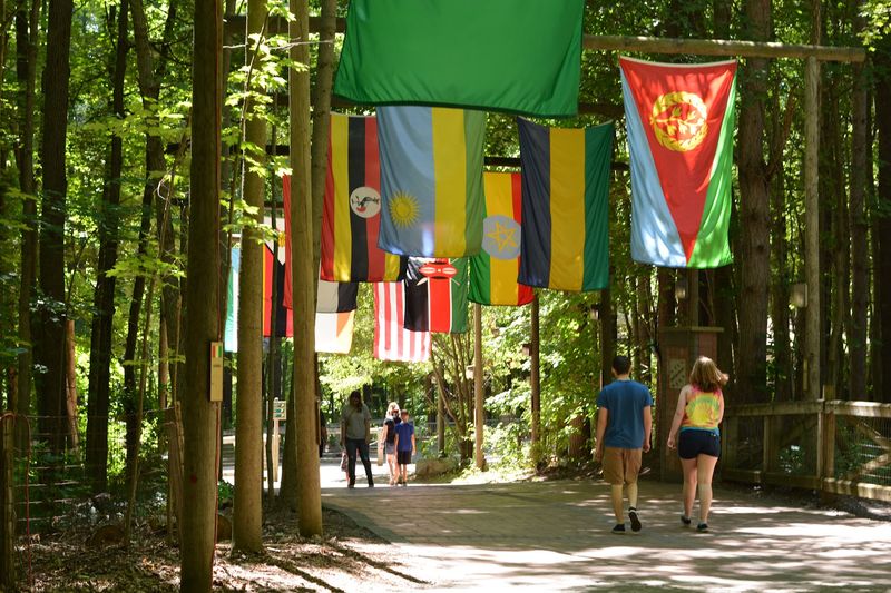The Free Tram Ride to the Safari