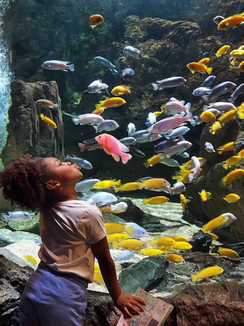 The Aquarium Buildings