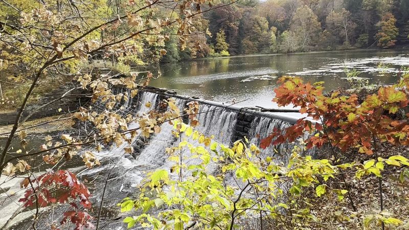 Glacier Lake and the Peaceful Wetlands