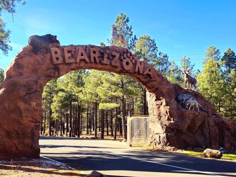 Bearizona Wildlife Park - Williams, Arizona