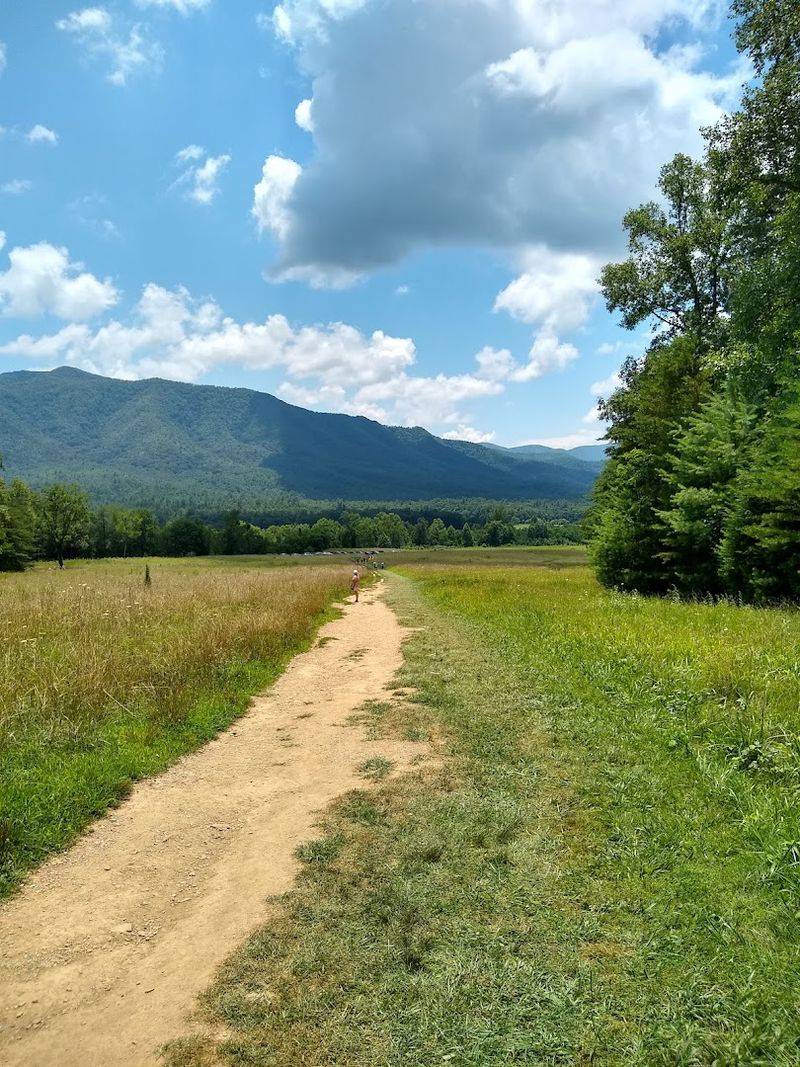 Cades Cove Loop Rd - Tennessee