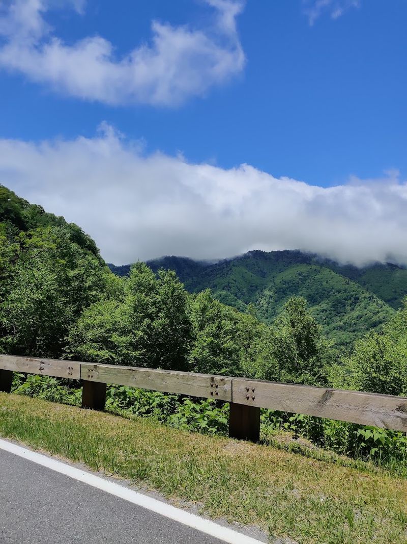 North Carolina Mountain and Coastal Stops That Belong on Every Traveler’s List 8 Blue Ridge Parkway - North Carolina