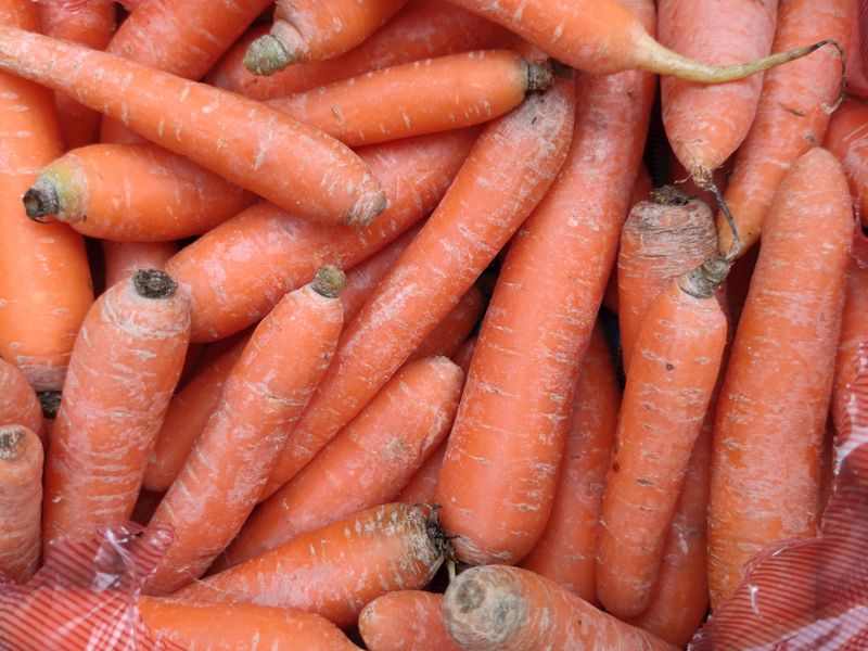 Fresh carrots
