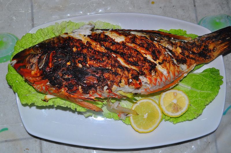 Grilled fish