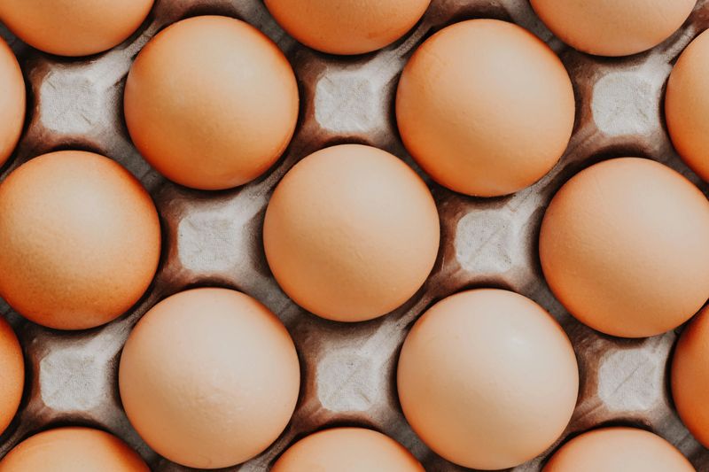 Eggs