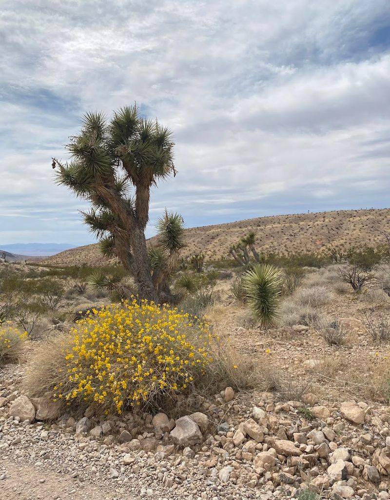 Clean Air and Natural Tranquility