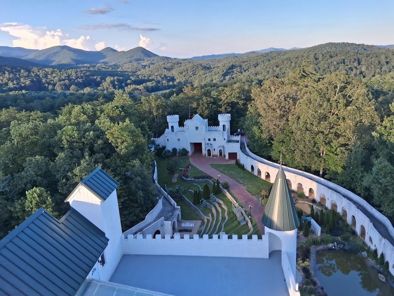 A Vineyard and Muscadine Grapes on the Property