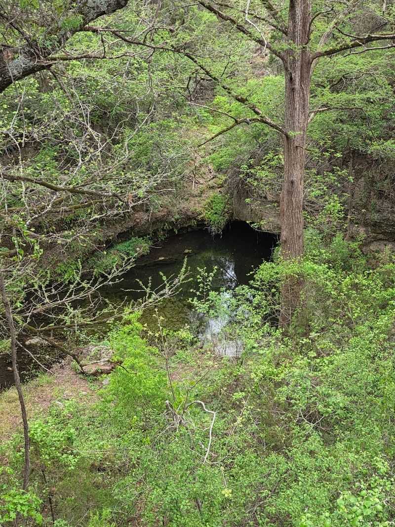 Camping Under the Stars