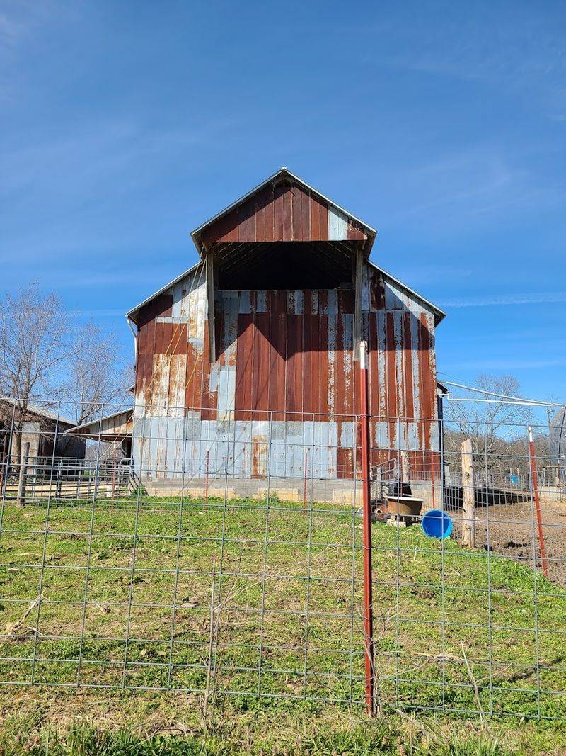 A small Amish town in Tennessee known for its delicious comfort food 4 Amish Jams and Preserves Bursting with Flavor