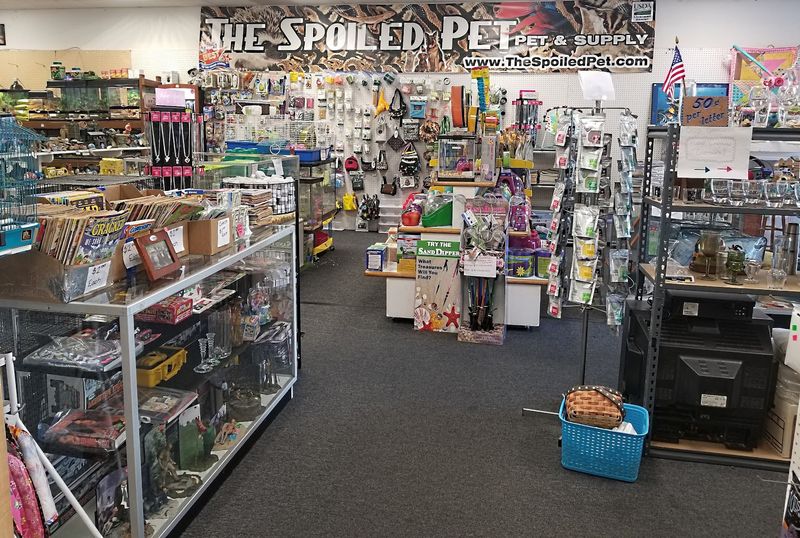 Live Animals and a Pet Shop That Surprises Everyone