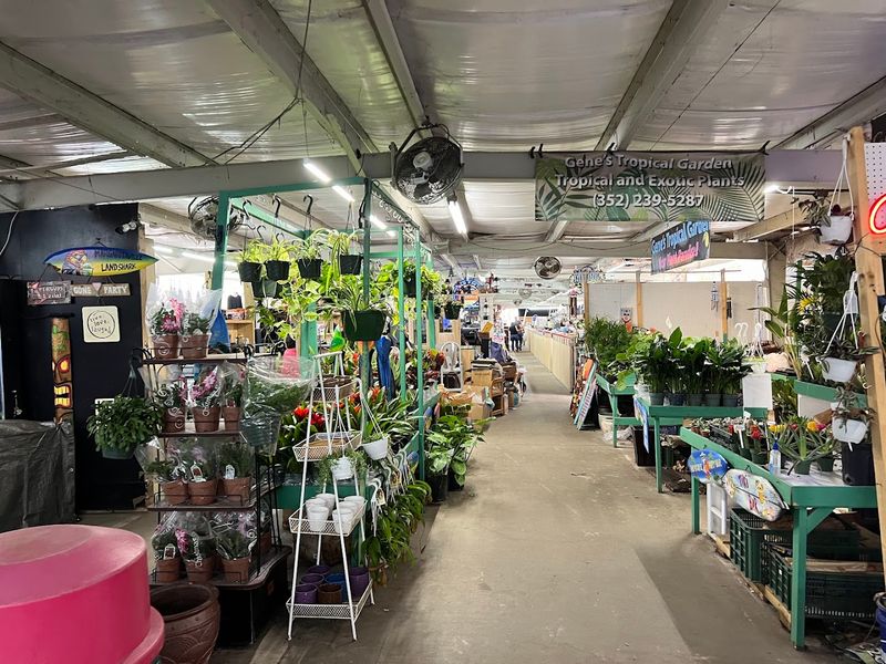 Plants for Your Home and Garden