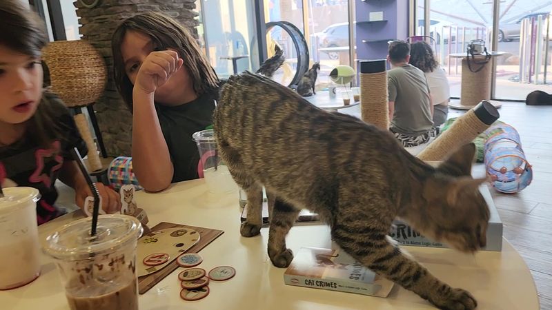 Delicious Drinks Worth Ordering